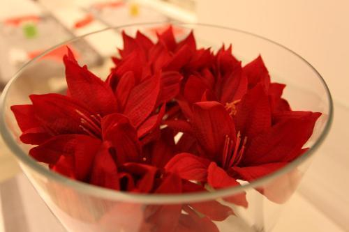 Hotel Fantasy Riccione Ngoại thất bức ảnh