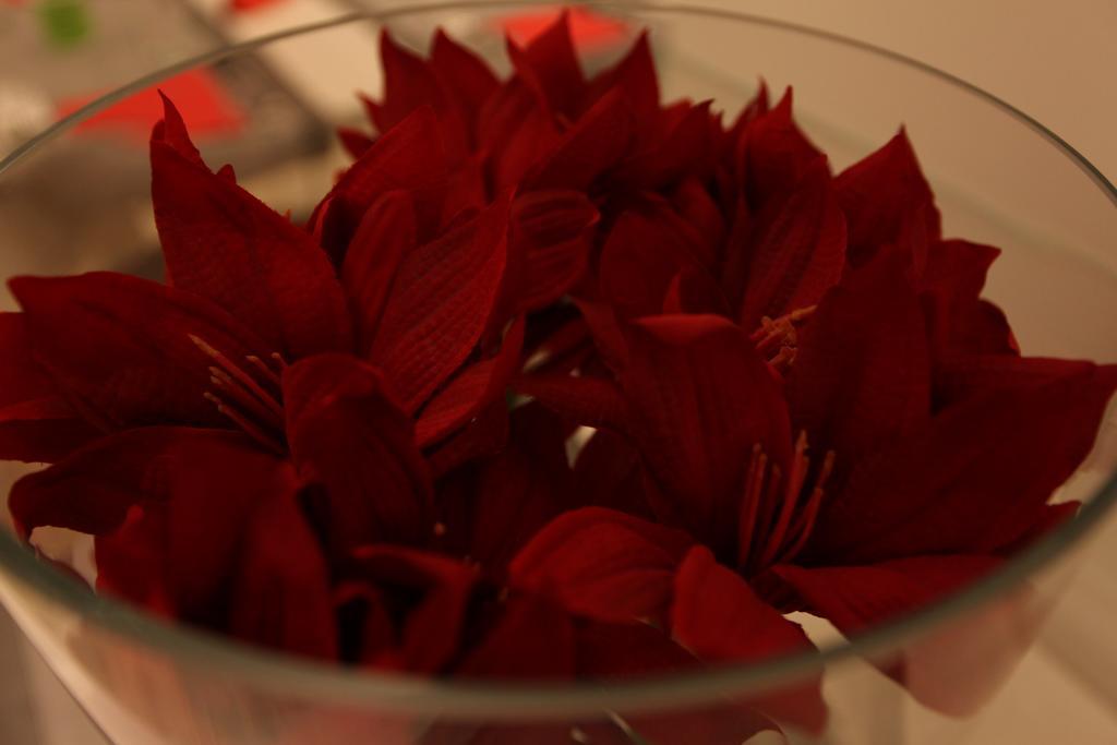 Hotel Fantasy Riccione Ngoại thất bức ảnh